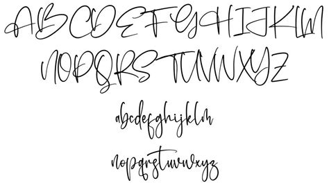 Handwritten Signature font by Letterena Studios | FontRiver