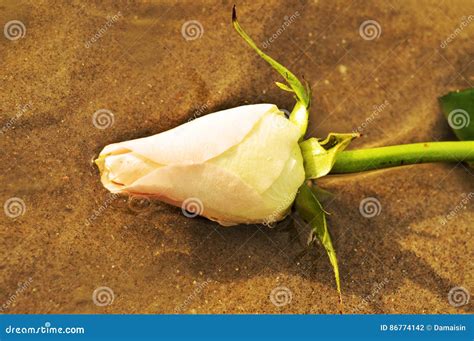 Nam Op Het Zand Symbool Toe Van Reusachtigheid Stock Foto Image Of