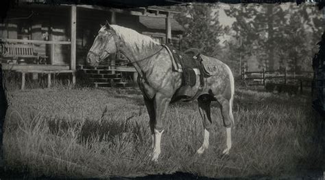 Red Dead Redemption 2 American Standardbred | Locations, Stats, Coats