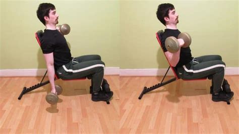 Alternating Dumbbell Curl Tutorial Standing And Seated