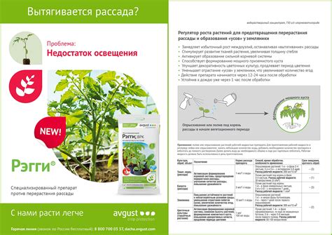 Рэгги® – купить препарат Рэгги® оптом по цене производителя «АВГУСТ»
