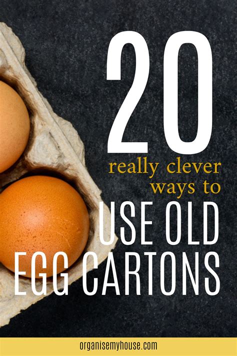 Egg Carton Reuse: 20 Clever Ways To Use Old Ones As Storage