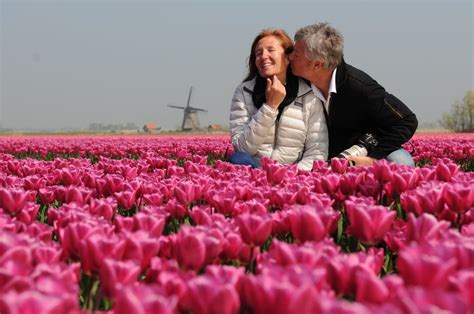 Tulip Tours from Amsterdam: Experience Holland's Iconic Flower Fields ...