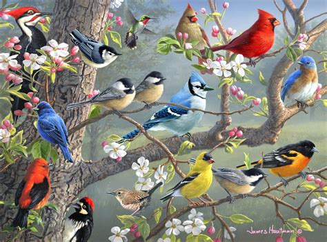 Orchard Puzzle - Ledgebay - Premium Paint By Numbers Kit