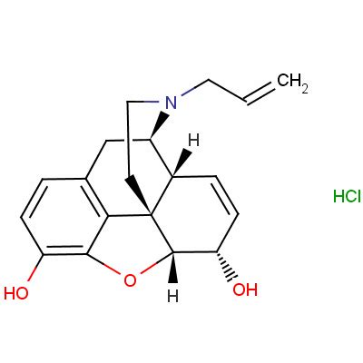 Nalorphine - Alchetron, The Free Social Encyclopedia