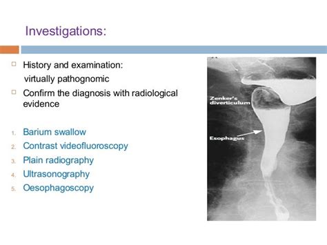 Pharyngeal pouches