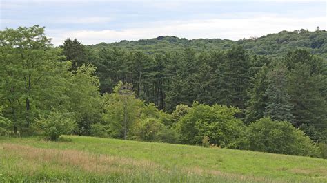 Ensuring a Green Future for Peters Hill - Arnold Arboretum | Arnold ...