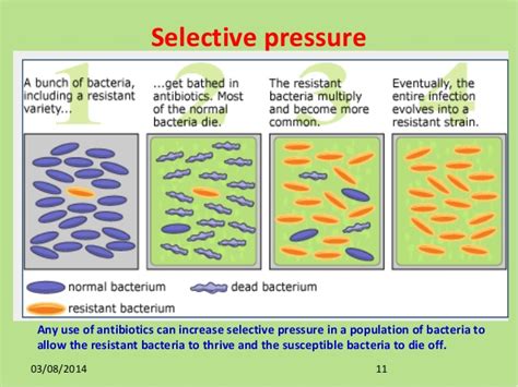 Selection Pressure - Genetics and Evolution