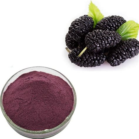 Mulberry Extract - Purple – Skin Foodie