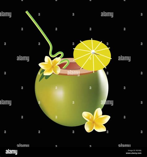 Coconut Cocktail Vector Illustration Isolated On Black Background