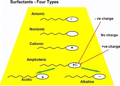 | Different types of surfactant (http://slideplayer.com/slide/6214458 ...