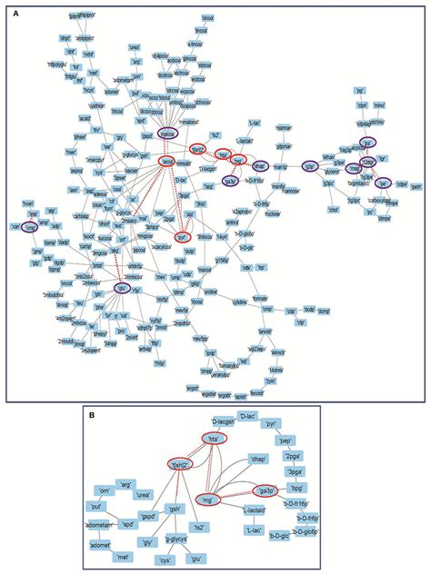 Frontiers Integrative Computational Framework For Understanding