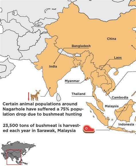 Bushmeat Consumption In Asia Earth Org