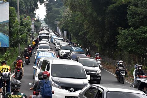 Wisatawan Membludak Petugas Kewalahan Urai Kemacetan Di Puncak