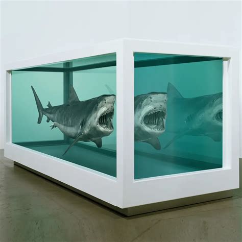 Damien Hirst Shark Controversy | Zarastro Art