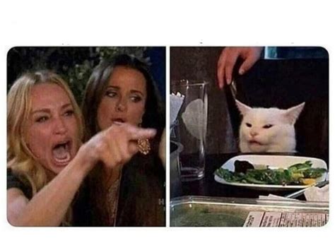 Cat at Dinner Blank Template - Imgflip