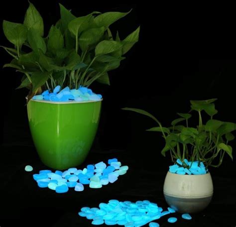 50 Stuks Glow In The Dark Steentjes Aquariumdecoratie Lichtgevende