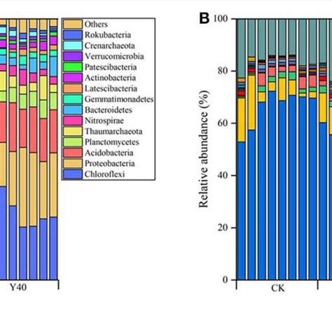 Soil Bacterial Community Composition A Relative Abundance At