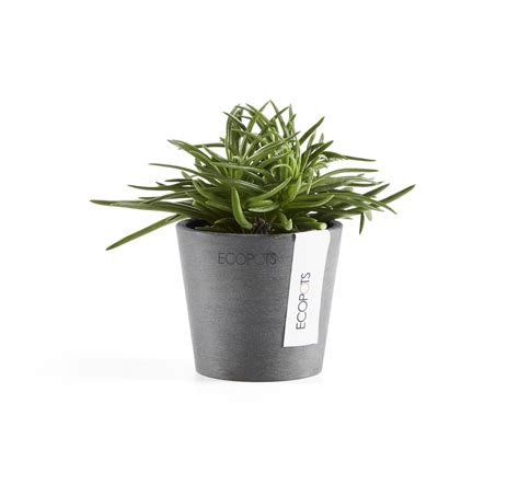 ECOPOTS Amsterdam Mini – Ecopots South Africa