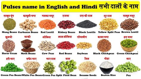 Pulses names in english and hindi with pictures सभ दल क नम