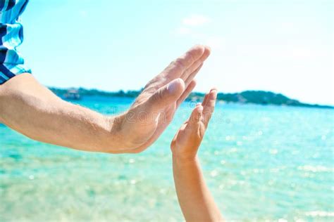 Las Manos De Un Padre Feliz Y De Un Ni O En La Naturaleza Junto Al Mar