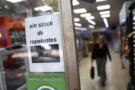 Epidemia De Dengue En Argentina Cu L Es La Situaci N Regi N Por Regi N