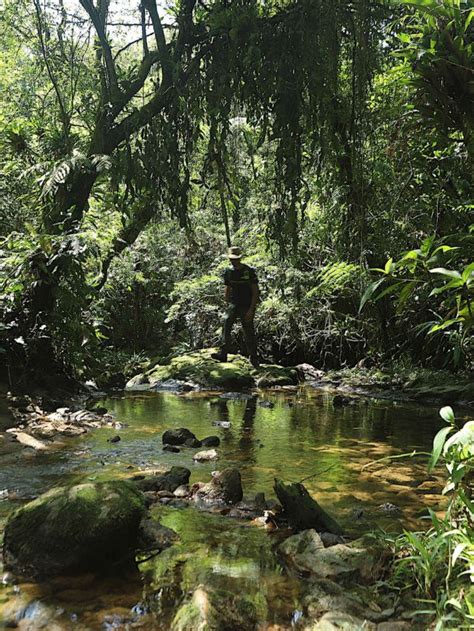 Trilhas No Parque Caminhos Do Mar Viagem Em Pauta