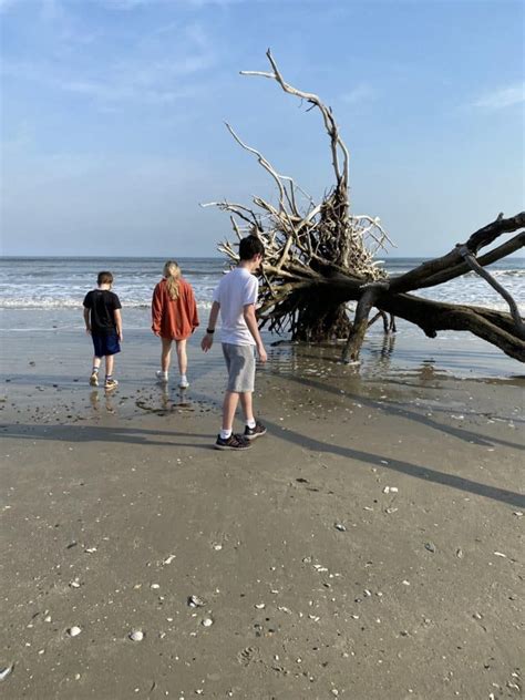 11 Reasons Why You Should Visit Edisto Island South Carolina Five