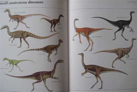 The Macmillan Illustrated Encyclopedia Of Dinosaurs And Pr Flickr