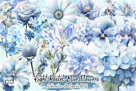 Light Pastel Blue Flowers Clipart PNG Graphic by Padma.Design · Creative Fabrica