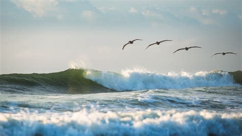 Floaters | Ned Leary Photography