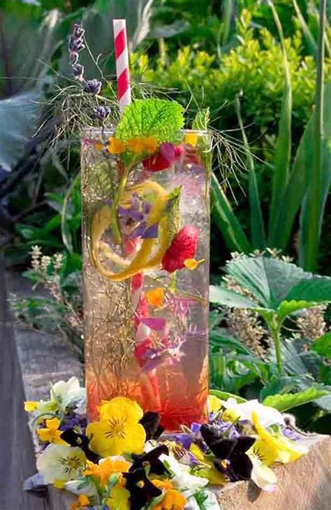 Best Edible Flowers For Drinks And Cocktails Images On Pinterest