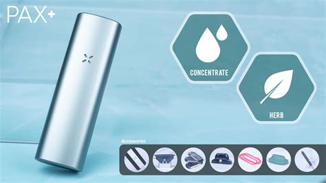 Pax Plus Elderberry Vaporizador Para Hierbas Y Concentrados Pax Labs