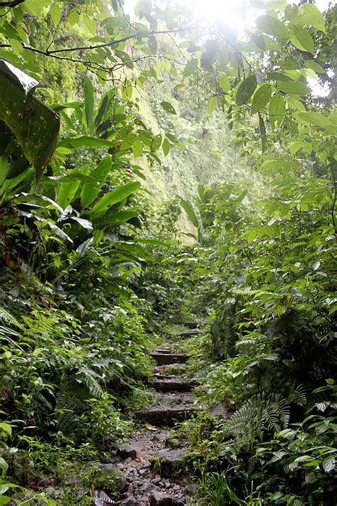 Gorges De La Falaise Martinique Active