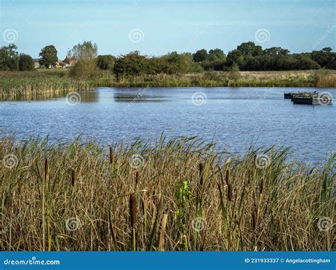 Lake in Staveley Nature Reserve, North Yorkshire, England Stock Image ...