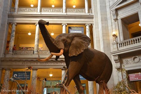 The Smithsonian National Museum of Natural History - The World Is A Book