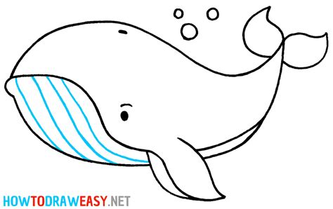 How to Draw a Whale - Draw for Kids