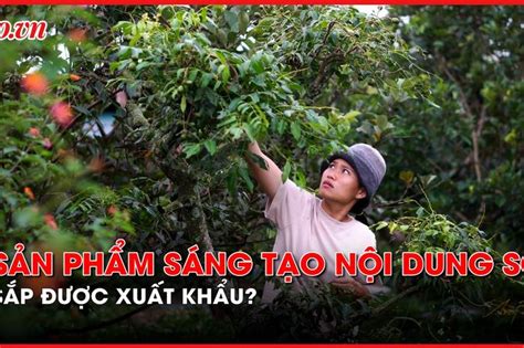 C H I Xu T Kh U V N H A M Ng X H I Hot Tiktoker Facebooker Youtuber Ngh G B O Ph P