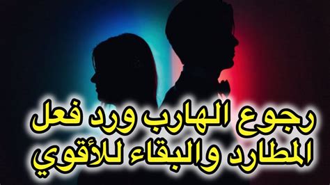 حال الهاربقلبه بيتقطع من غيرك💔هصدمك برجوعهعرف قيمتك💯طاقه المطارد