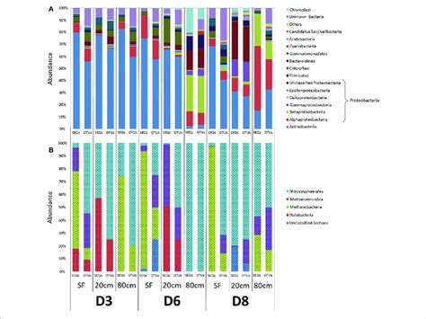 Distribution Of Prokaryotic Communities Among Sampling Points And