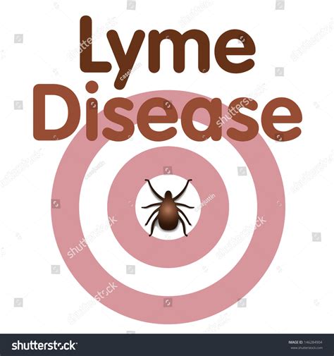 Lyme Disease Bullseye Rash Tick Insect Stock Illustration 146284904 Shutterstock