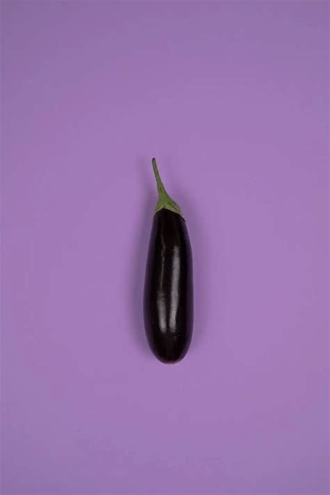 damping off seedlings in eggplant. - Gardening With Mans