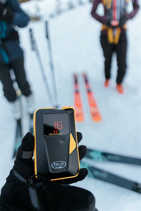 Scheduled Programs — GroundingTruth ~ Holistic Guiding