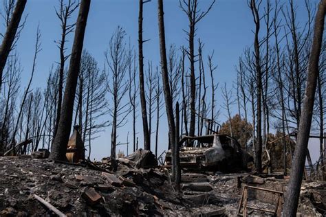 Waldbr Nde Im Nordwesten Spaniens Zerst Ren Mindestens Hektar