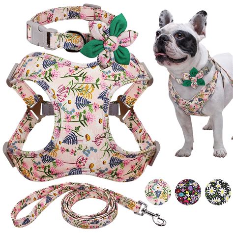 Collar De Flores Para Perro Con Impresi N Conjunto De Correa Y Arn S De