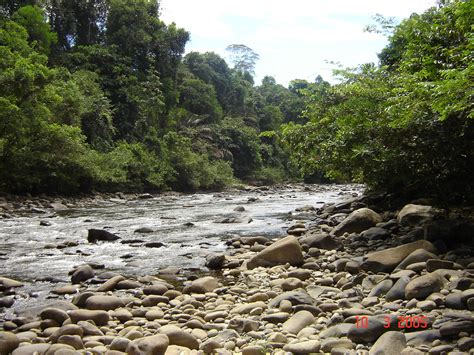 Traveling To Buayan Penampang Keindahan Sungai Di Kampung Buayan Sabah