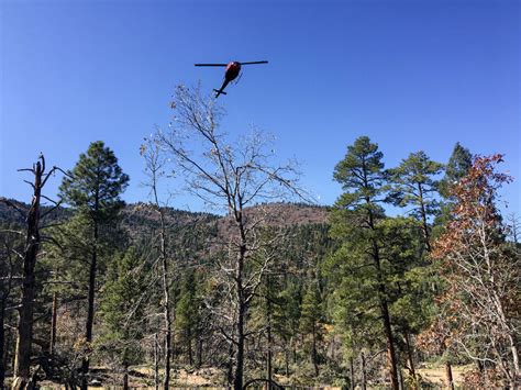 Partners Work Together To Restore And Protect Bill Williams Mountain