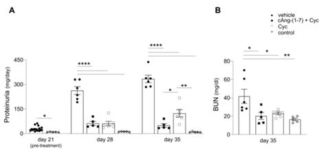 Cells Free Full Text Add On Cyclic Angiotensin 1 7 With