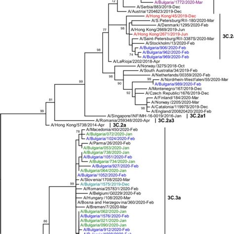 Phylogenetic Analysis Of The Ha Nucleotide Sequences From Influenza