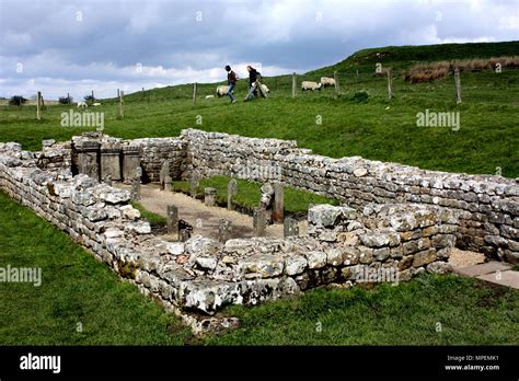 Temple Of Mithras Carrawburgh Hadrians Wall Hi Res Stock Photography